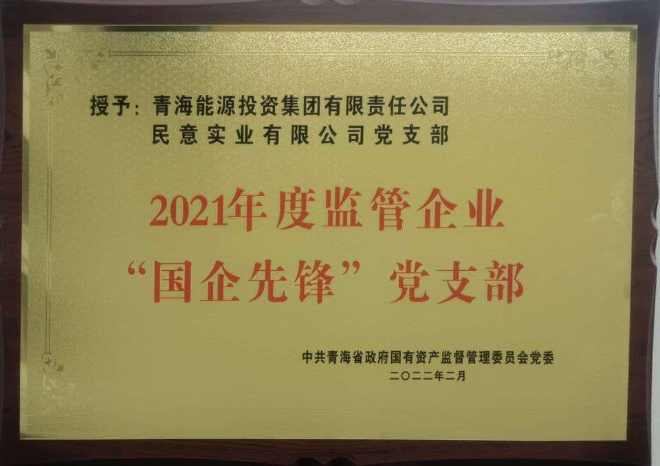 國企先鋒黨支部.jpg