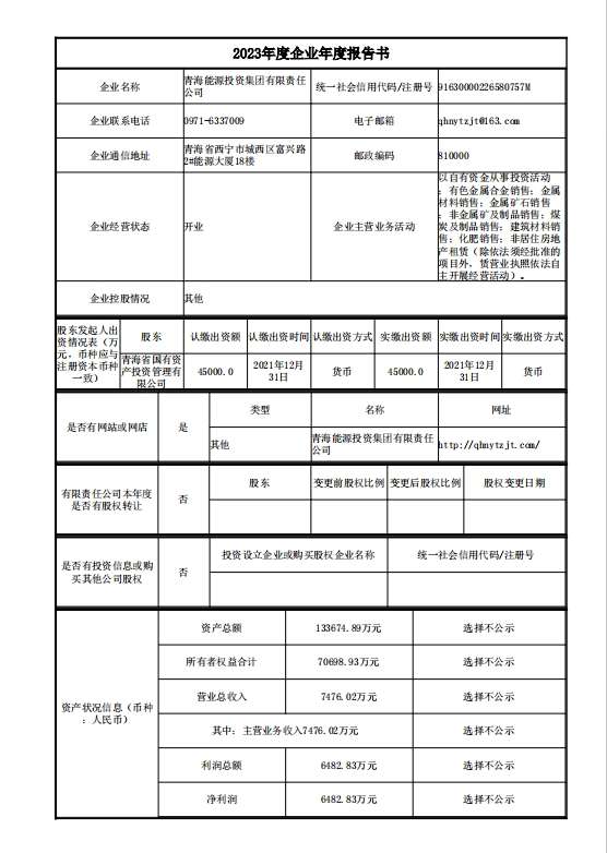 2023年度企業年度報告書1.png